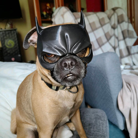 🐕Batman Dog Mask🦇