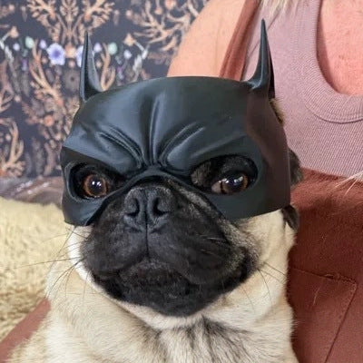 🐕Batman Dog Mask🦇