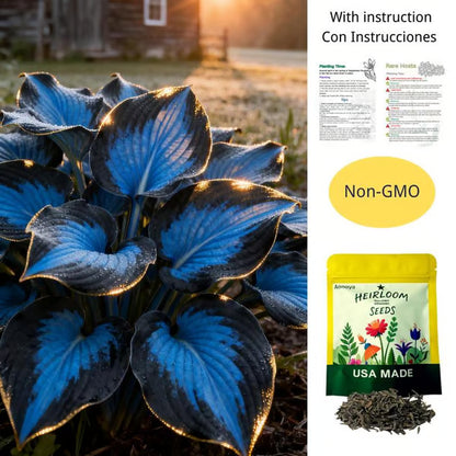💥2025 Hot Sale 🌌Hosta Seeds Perennial Shade Plant for Garden